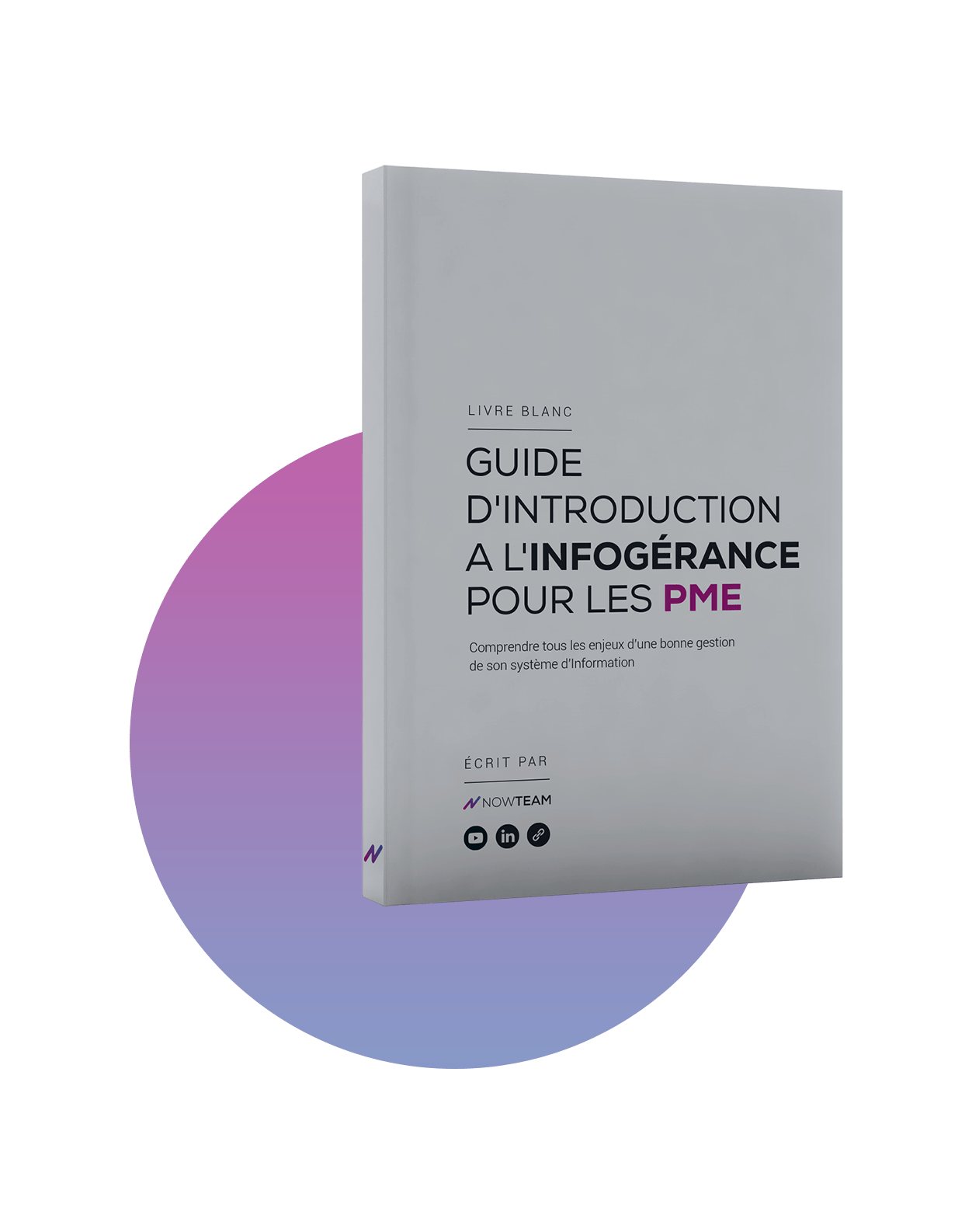 ebook infogerance pme