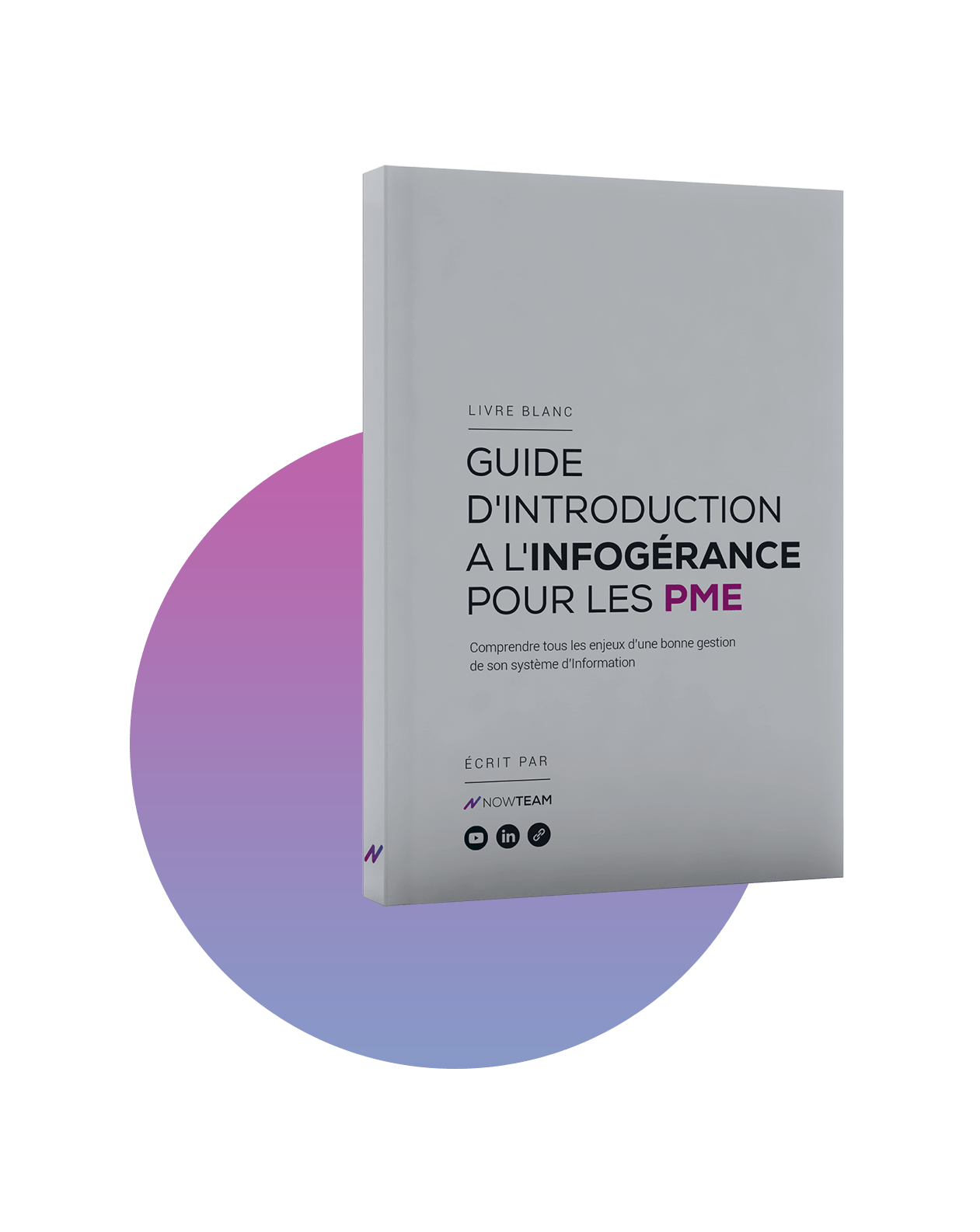 ebook infogerance pme